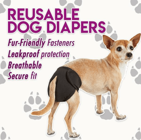 PetMate Reusable Dog Diaper