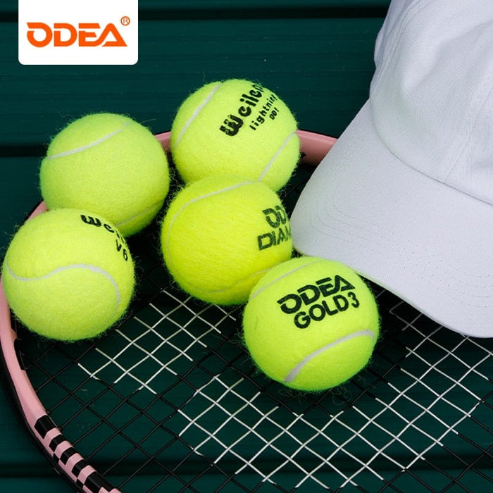 Training Tennis Balls ODEA 6Pcs with Bag Beginner Advanced Professtional Practice Competiton Tennis Ball for Dog Pet