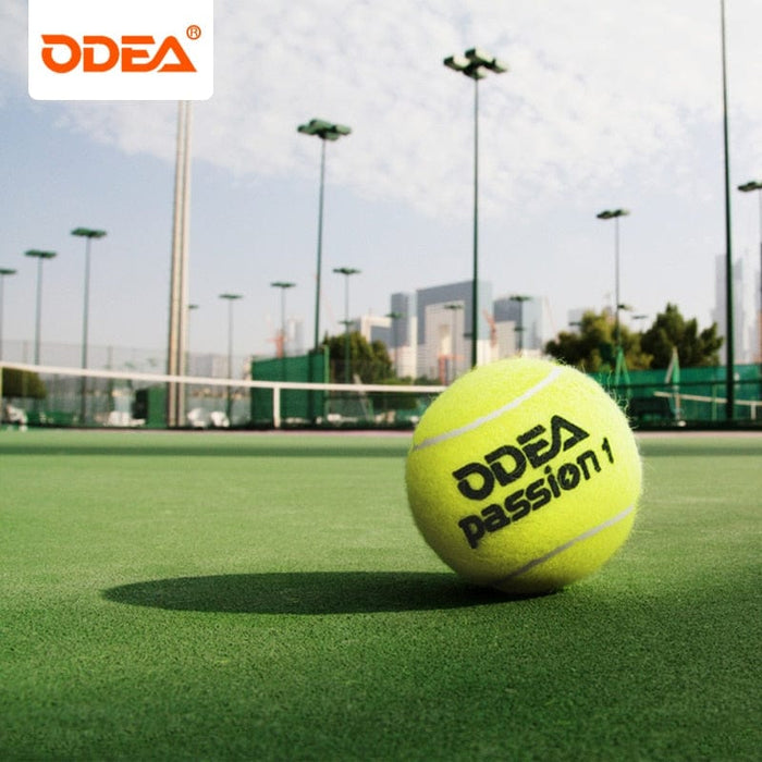 ODEA Tennis Balls 2 Cans ITF Approved Wool Felt Tenis Competition Training Pressurized Tenis Balls Passion Honor Air Love
