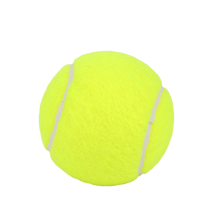 Tennis Ball Slazenger Championship 4 Cans 12 Balls with 3Pcs Grips Wimbledon Professtional Training Tennis Balls