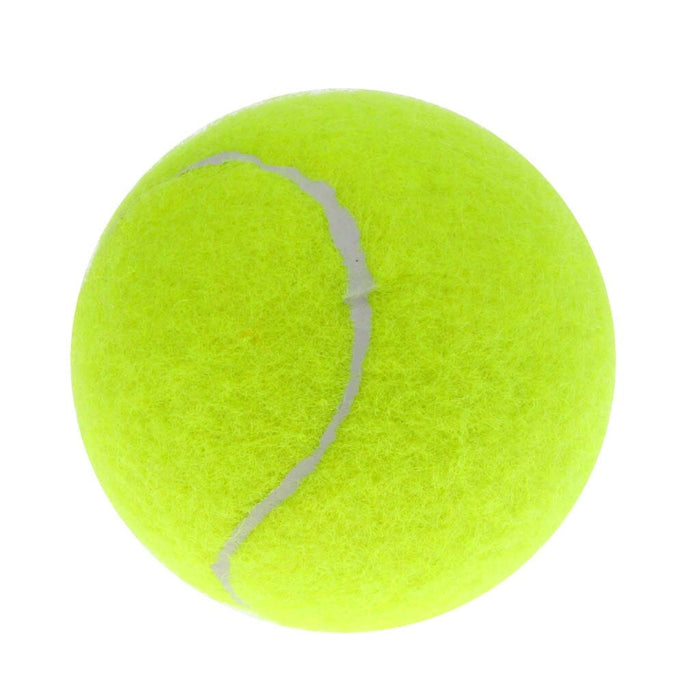 12 Pieces High Elasticity Advanced Training Tennis Balls Dog Toy Balls